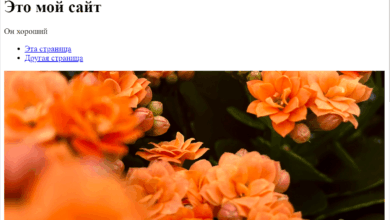 Photo of Темная тема в CSS: стильно и эффективно