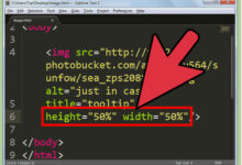 Photo of Работа с формами в HTML