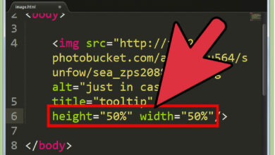 Photo of Работа с формами в HTML