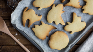 Photo of CSS: основы и принципы