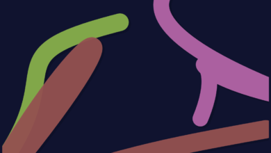 Photo of CSS сетки: выбор правильной стратегии